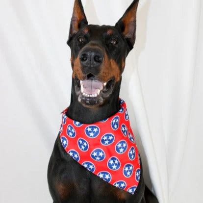 Nashville Tennessee Dog Bandana - Image 8