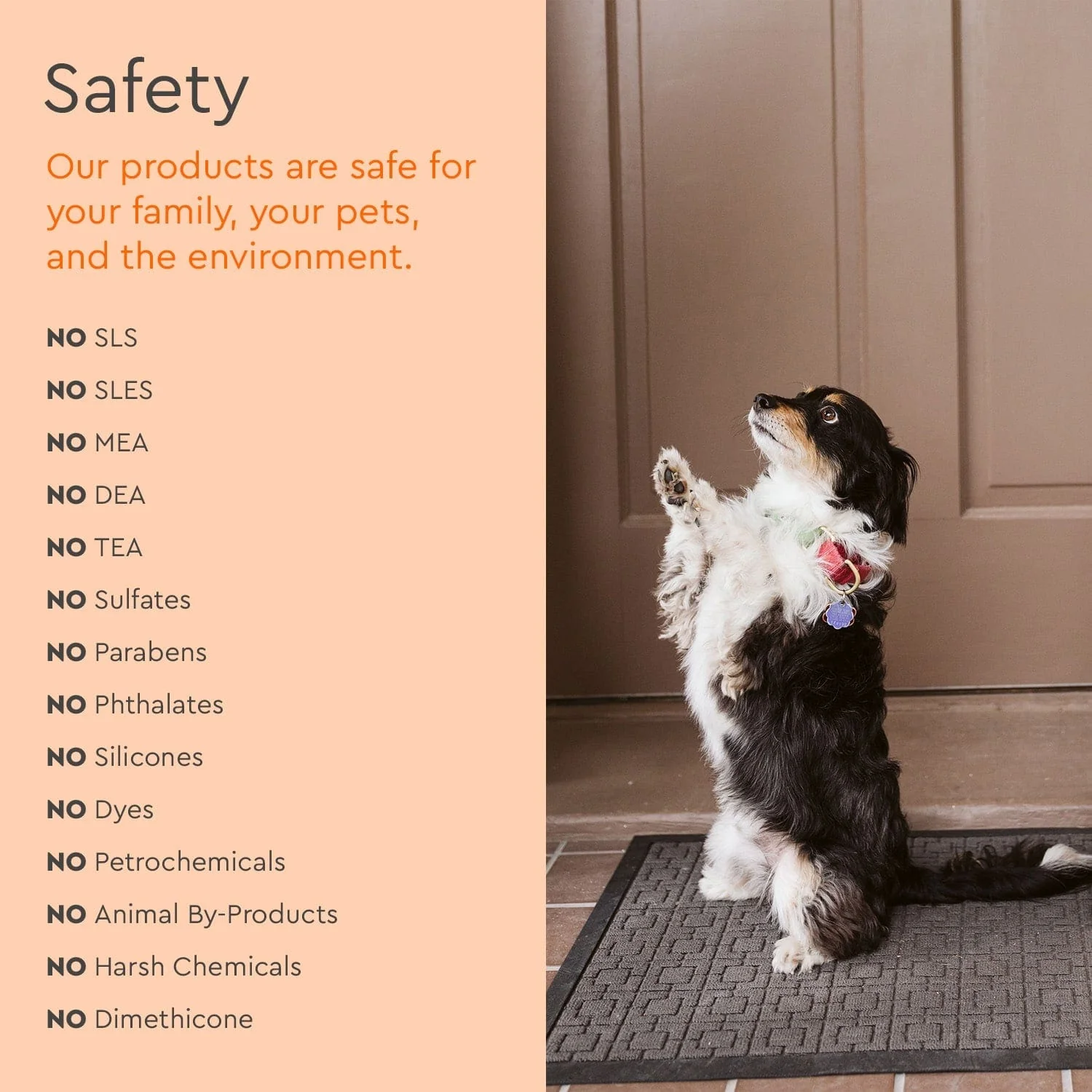 Pet Stain & Odor Remover - Image 7