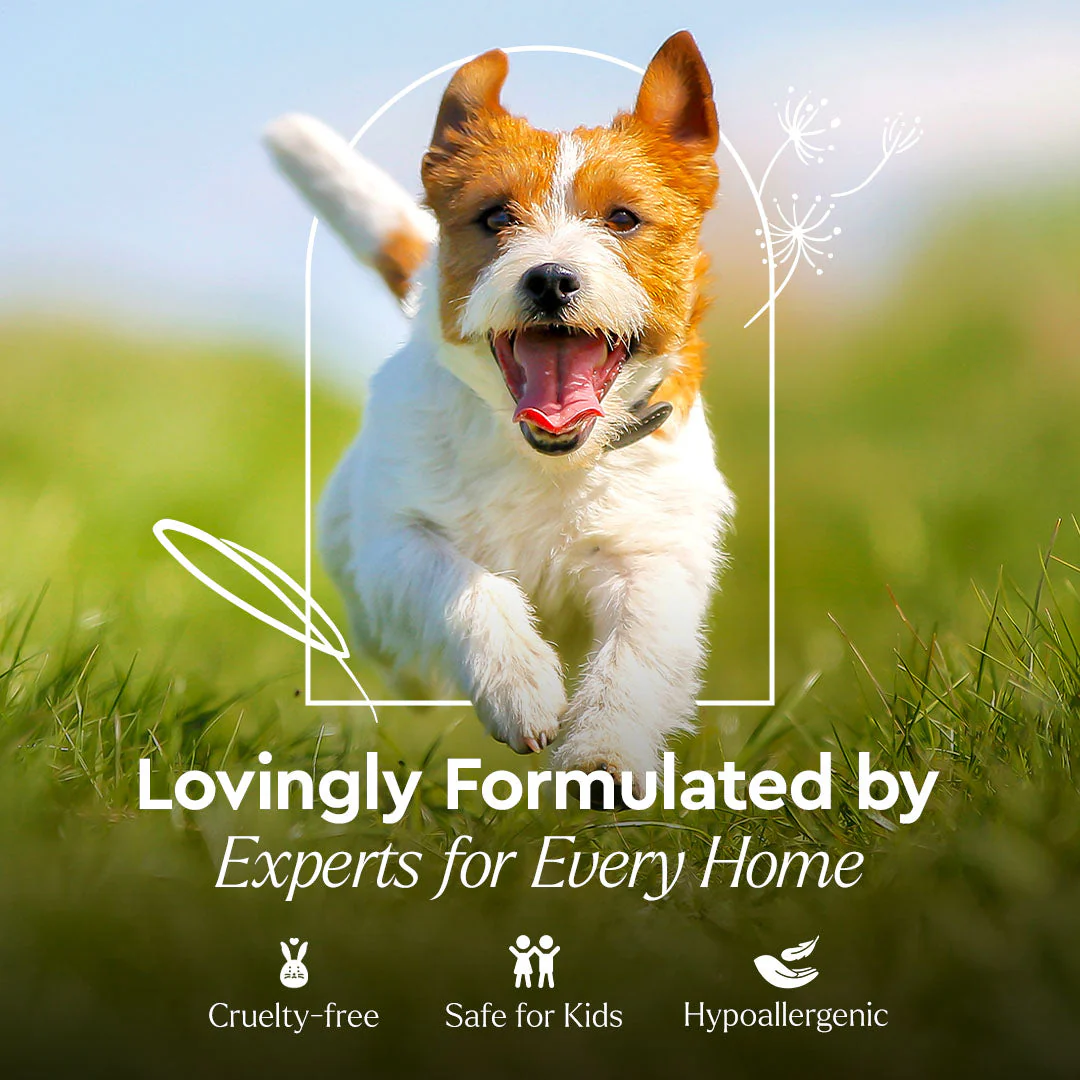Pet Stain & Odor Remover - Image 9