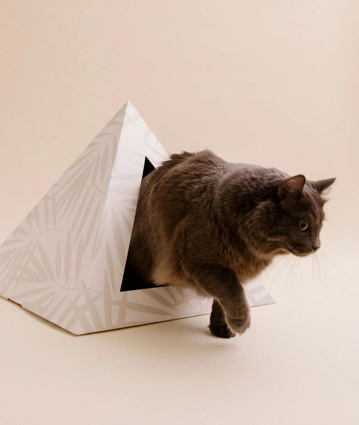 'Neutral Palm' Cardboard Cat Pyramid - Image 2