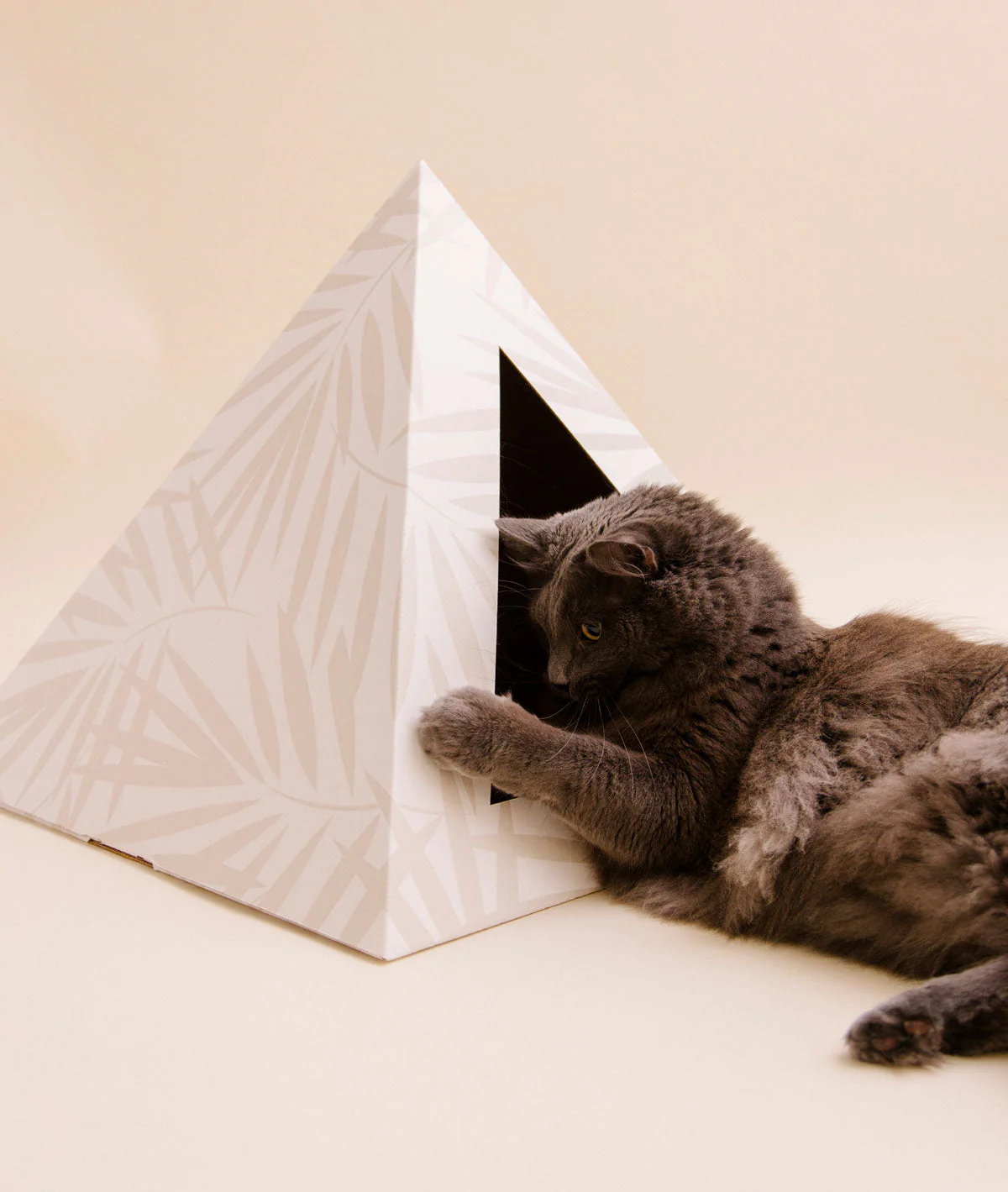 'Neutral Palm' Cardboard Cat Pyramid - Image 4
