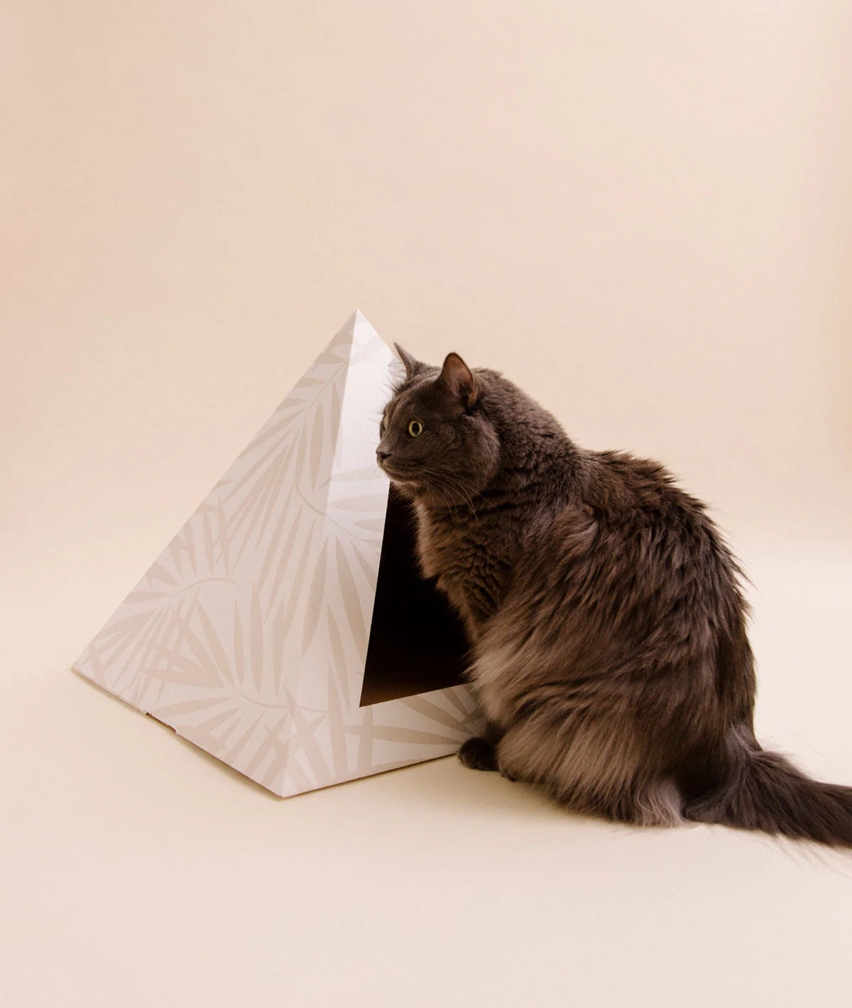'Neutral Palm' Cardboard Cat Pyramid - Image 7