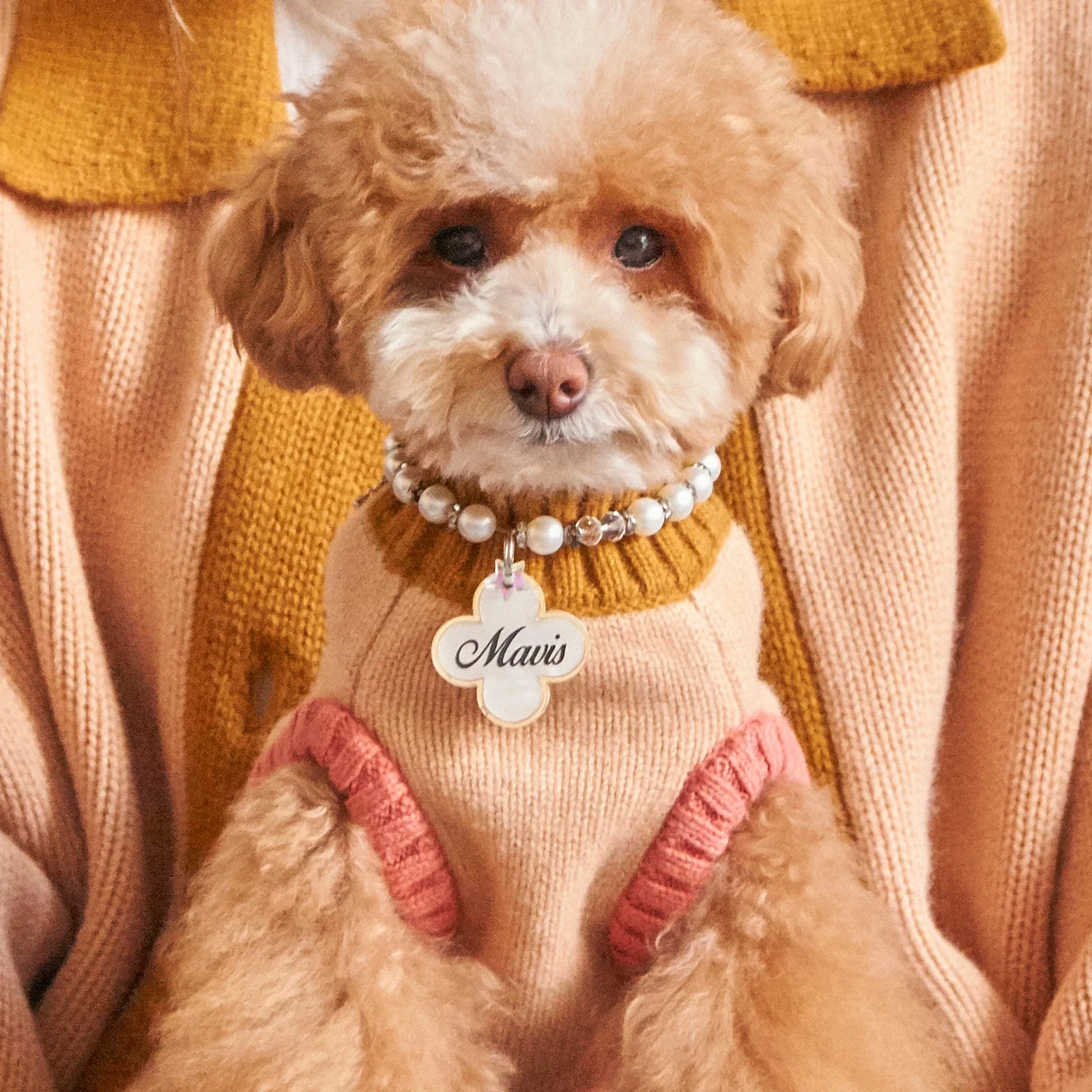 Nooee Pet Fawn Sweater - Image 2