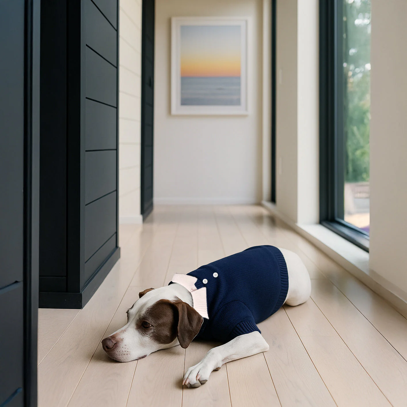 Nooee Pet Polo Wool Sweater – 100% Wool Knit with Classic Collar - Image 2