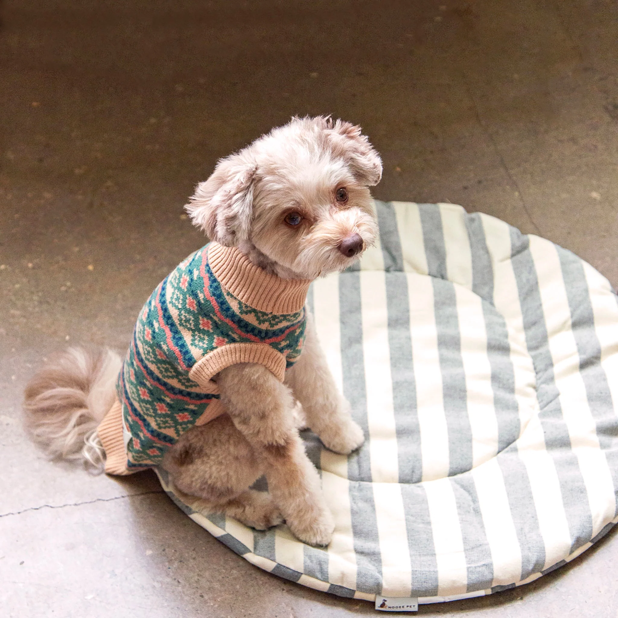 Nooee Pet Replacement Cushion - Image 2