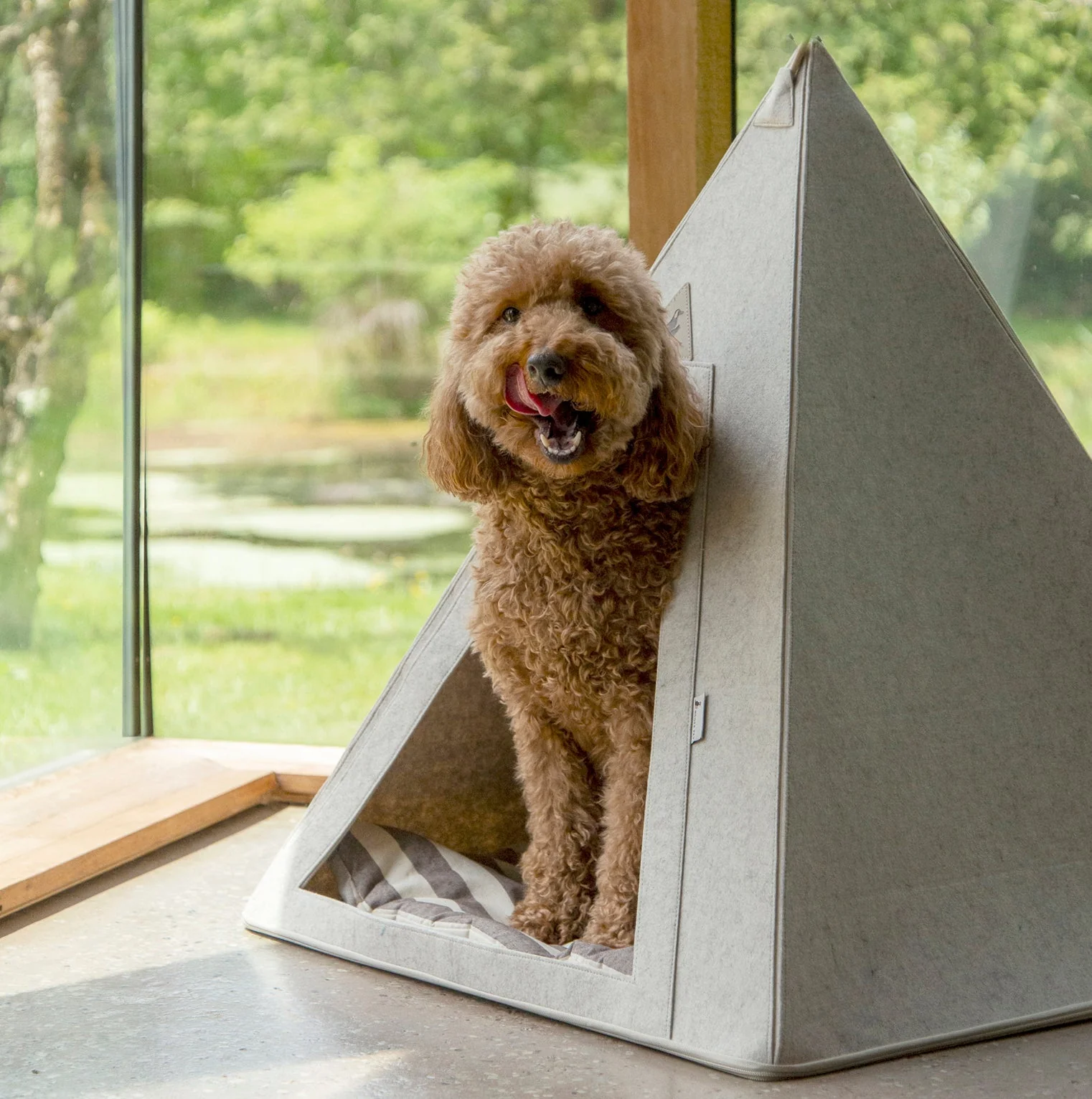 Nooee Pet Teepee Tucker (L) - Image 2