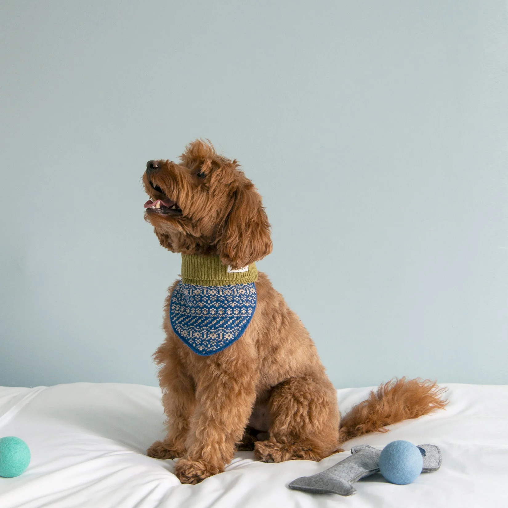Nooee Pet Wool Neck Warmer - Image 2