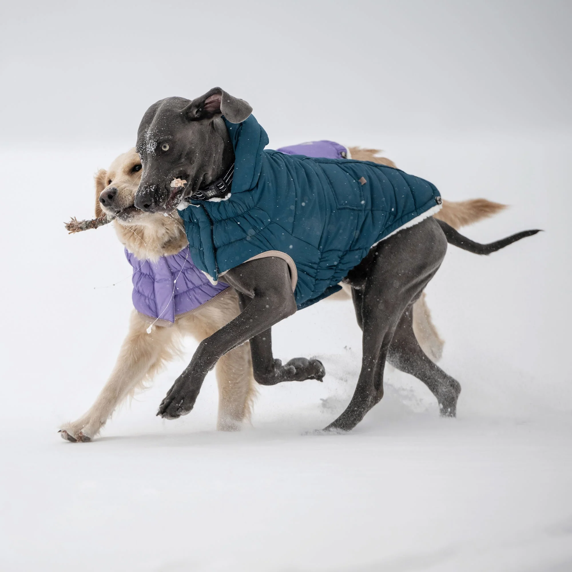 Nordic Parka - Image 15