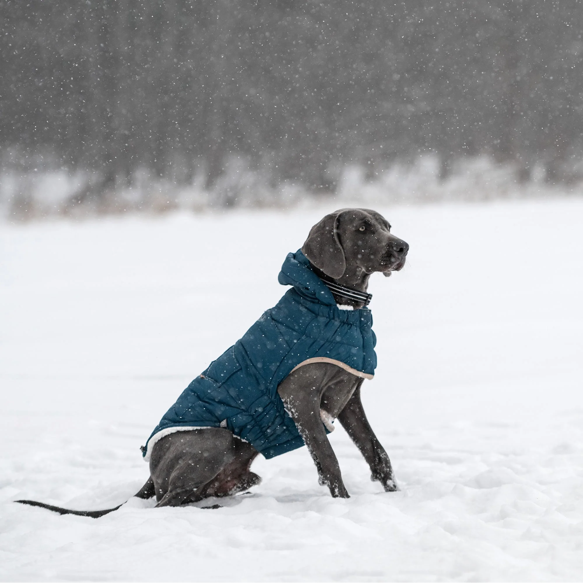 Nordic Parka - Image 16