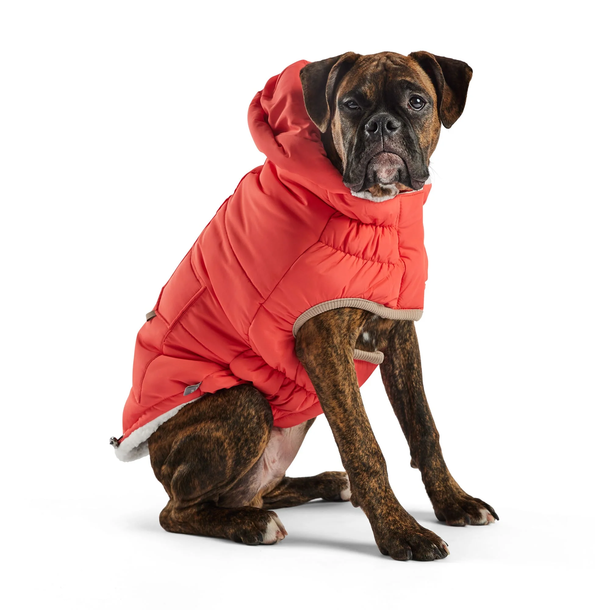 Nordic Parka - Image 3