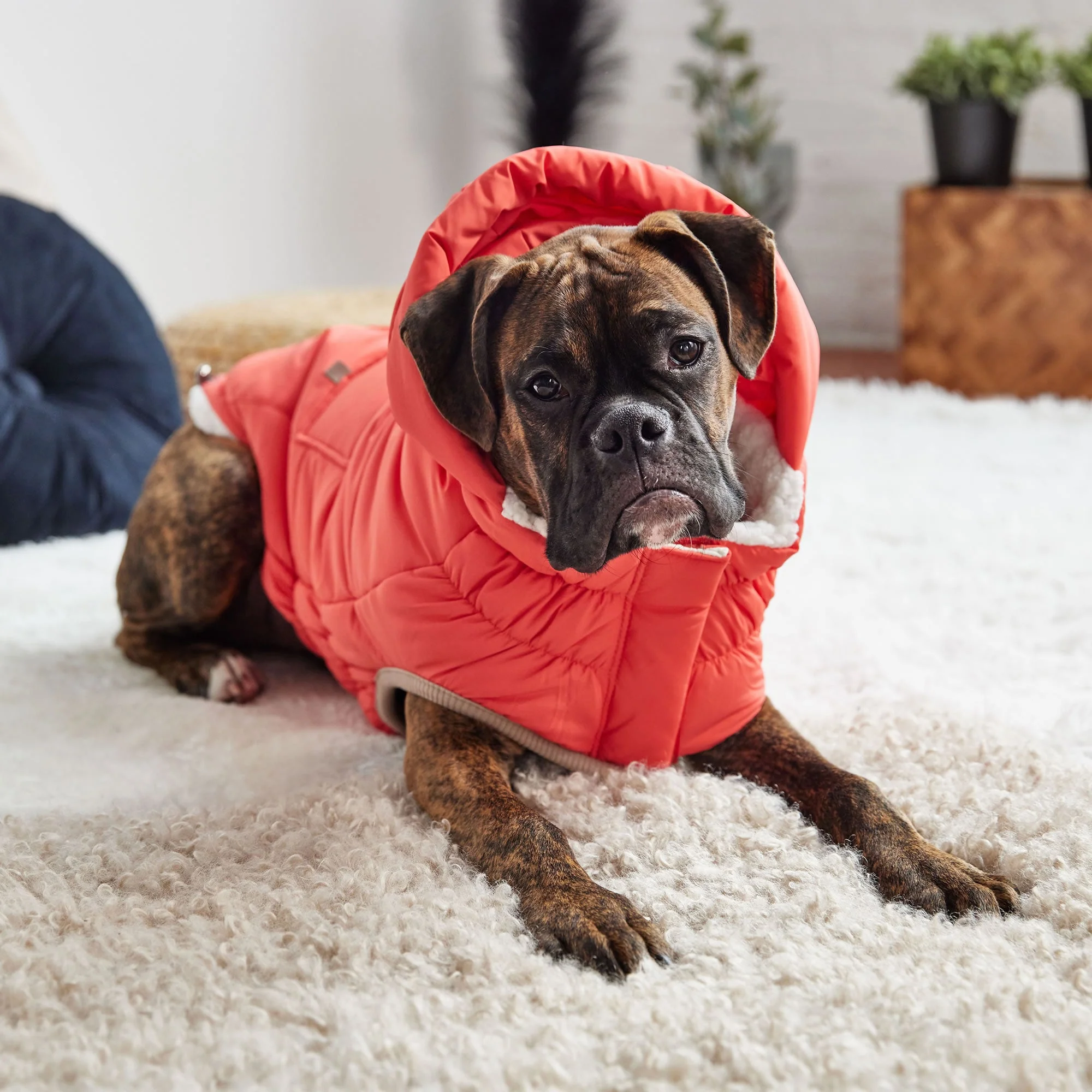 Nordic Parka - Image 6