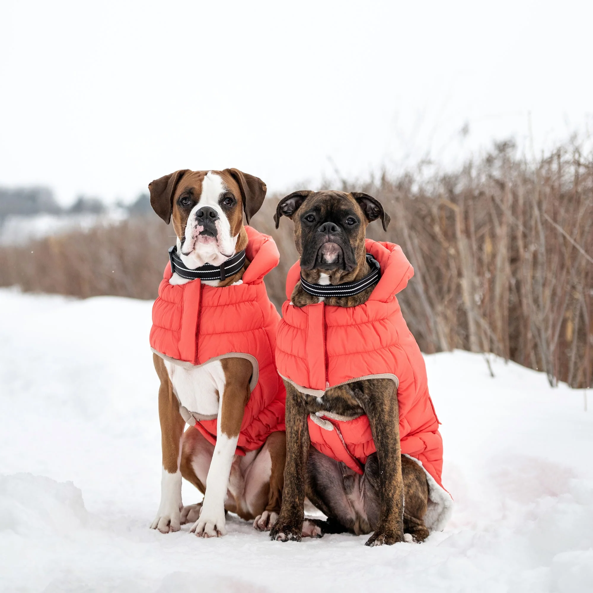 Nordic Parka - Image 7