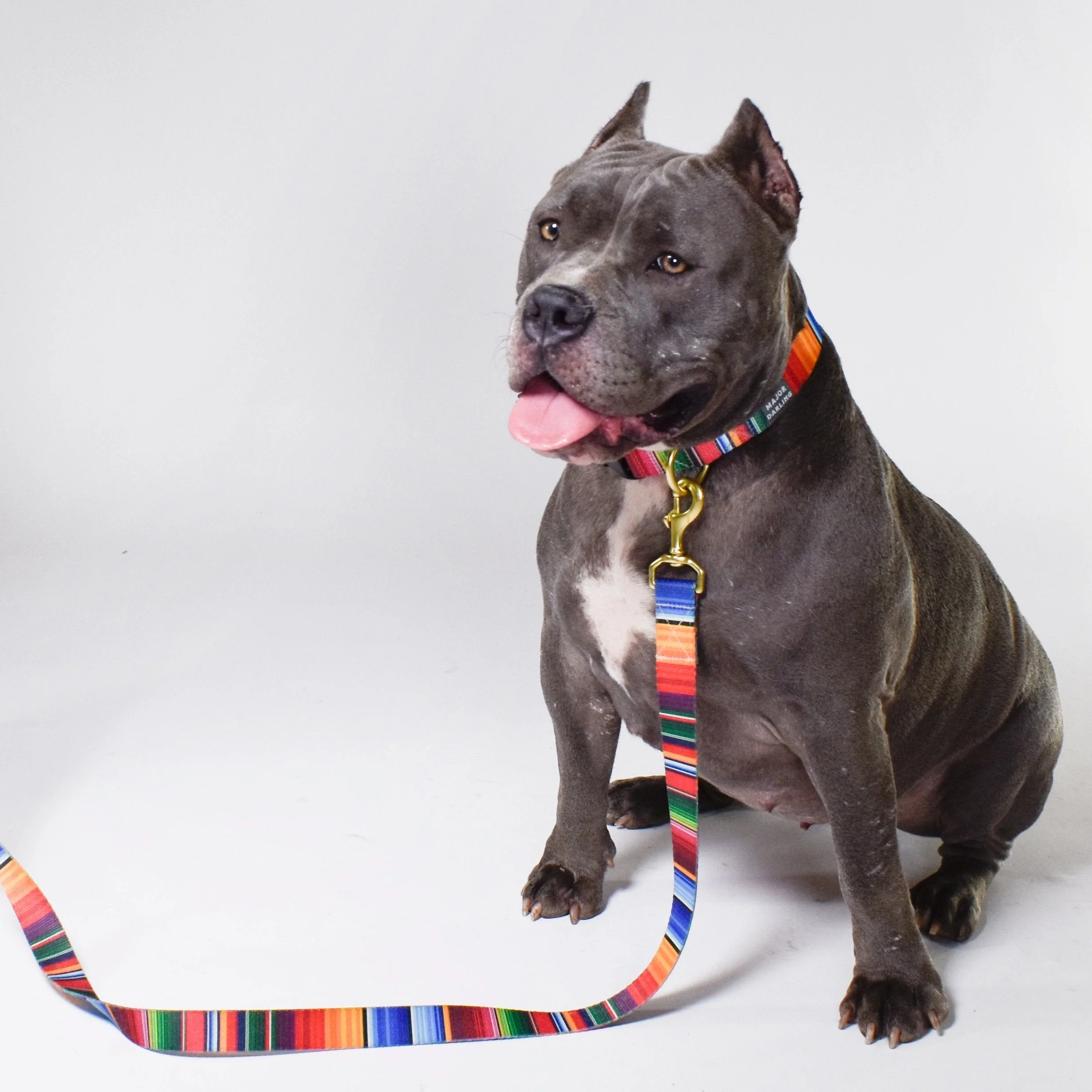 not-so-basic leash / serape - Image 5