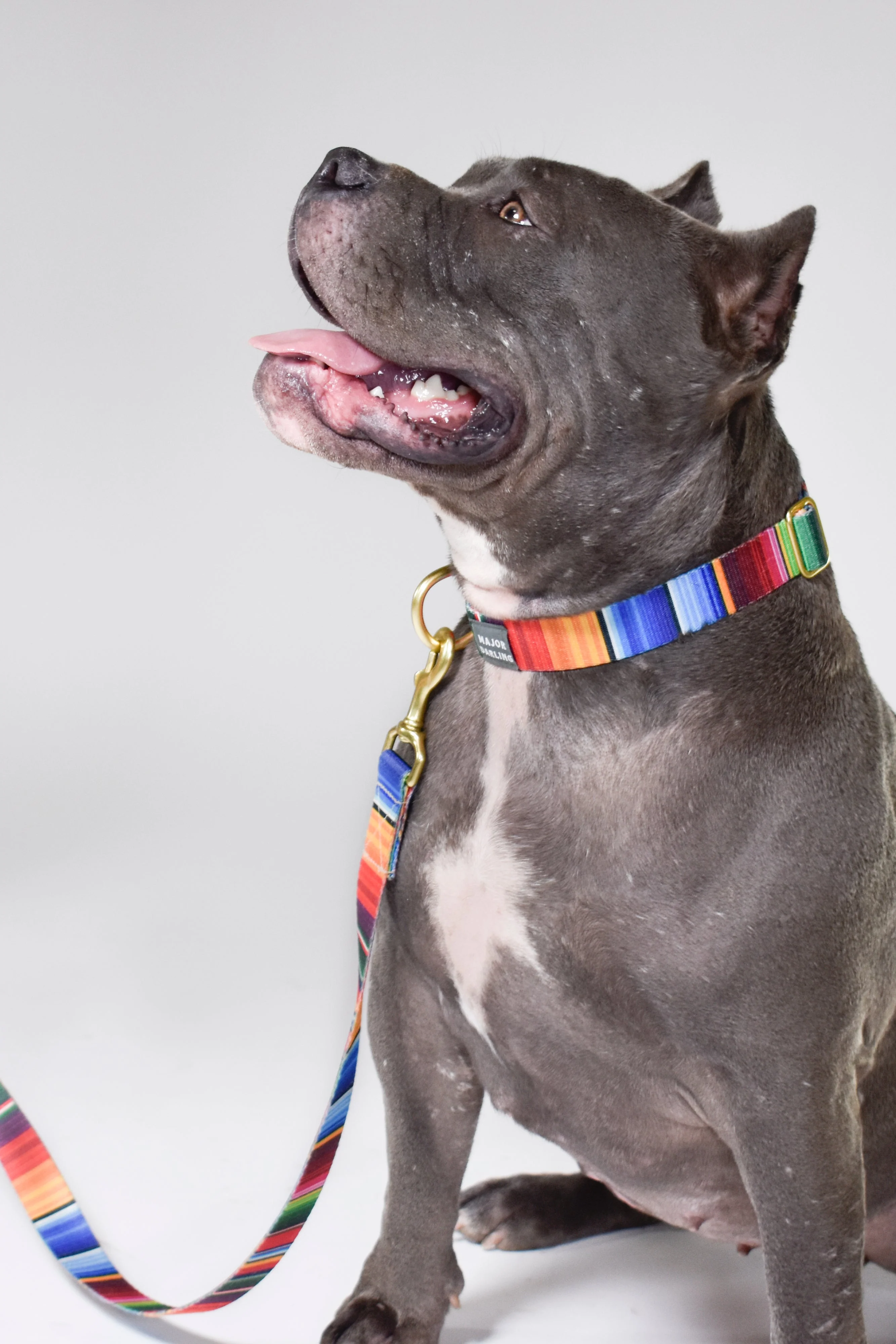 not-so-basic snap collar / serape - Image 9
