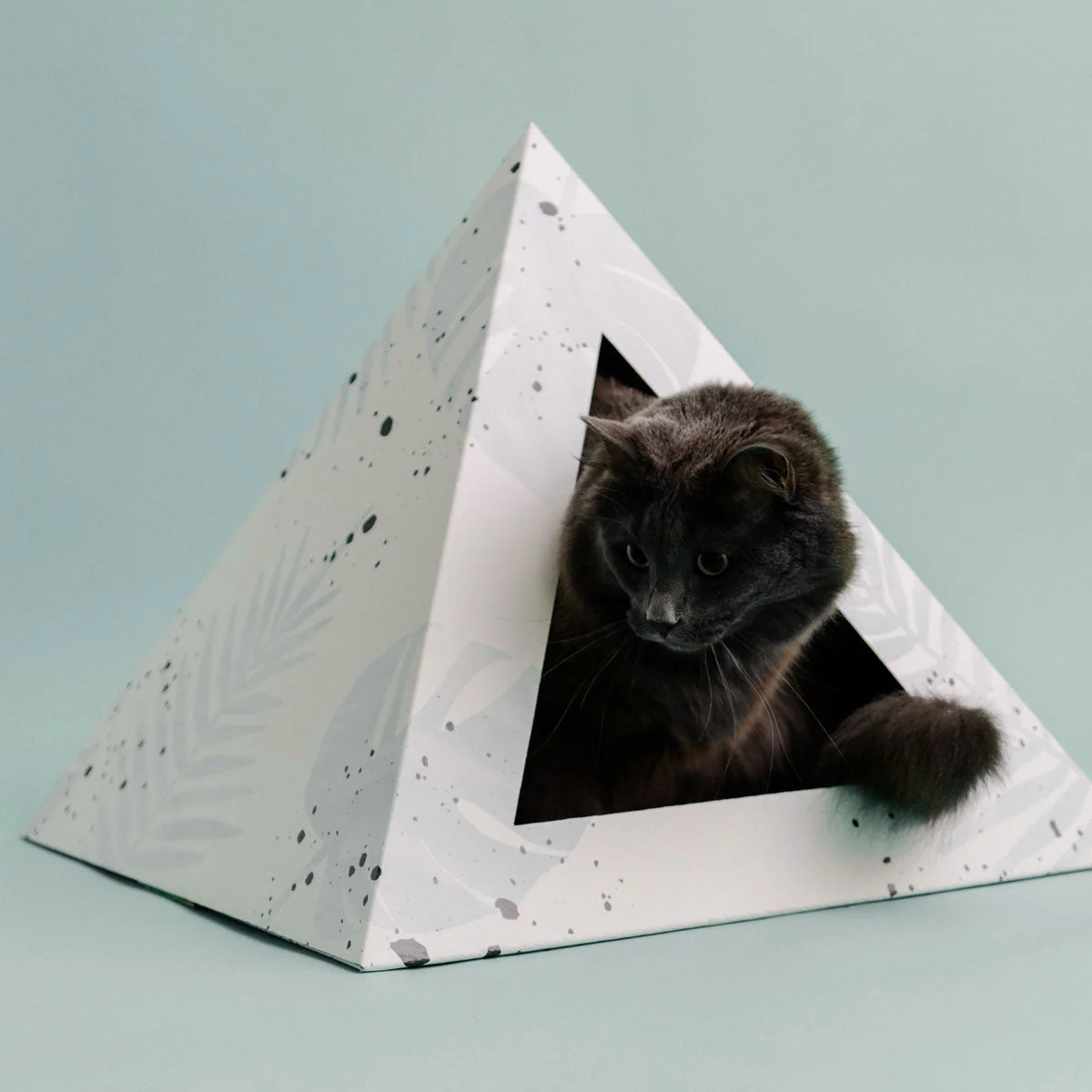 'Oasis' Cardboard Cat Pyramid - Image 4