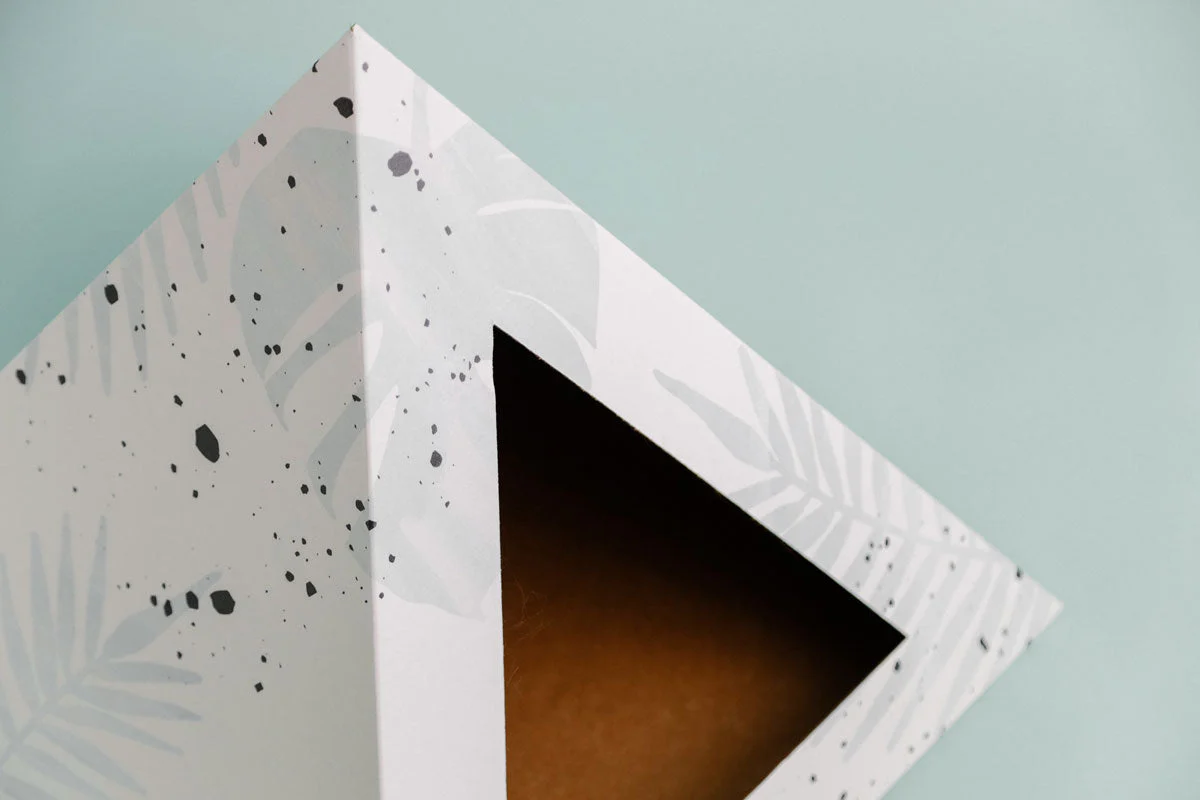 'Oasis' Cardboard Cat Pyramid - Image 6