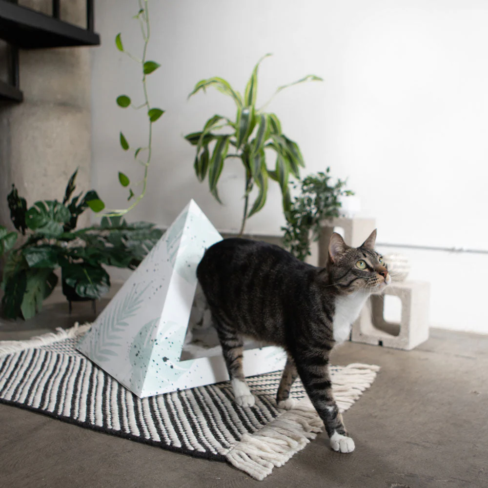 'Oasis' Cardboard Cat Pyramid - Image 7