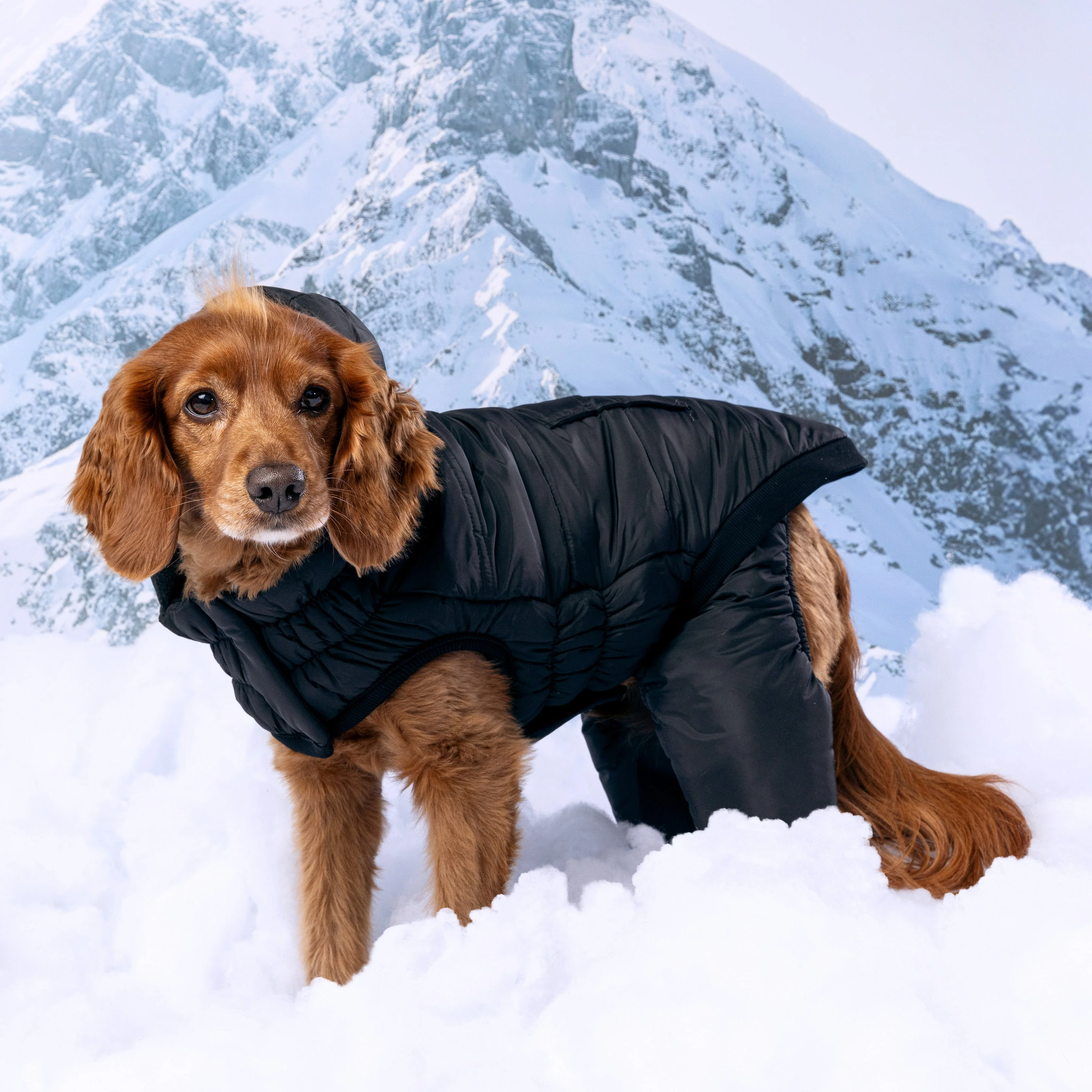 Odyssey Snowsuit - Image 6