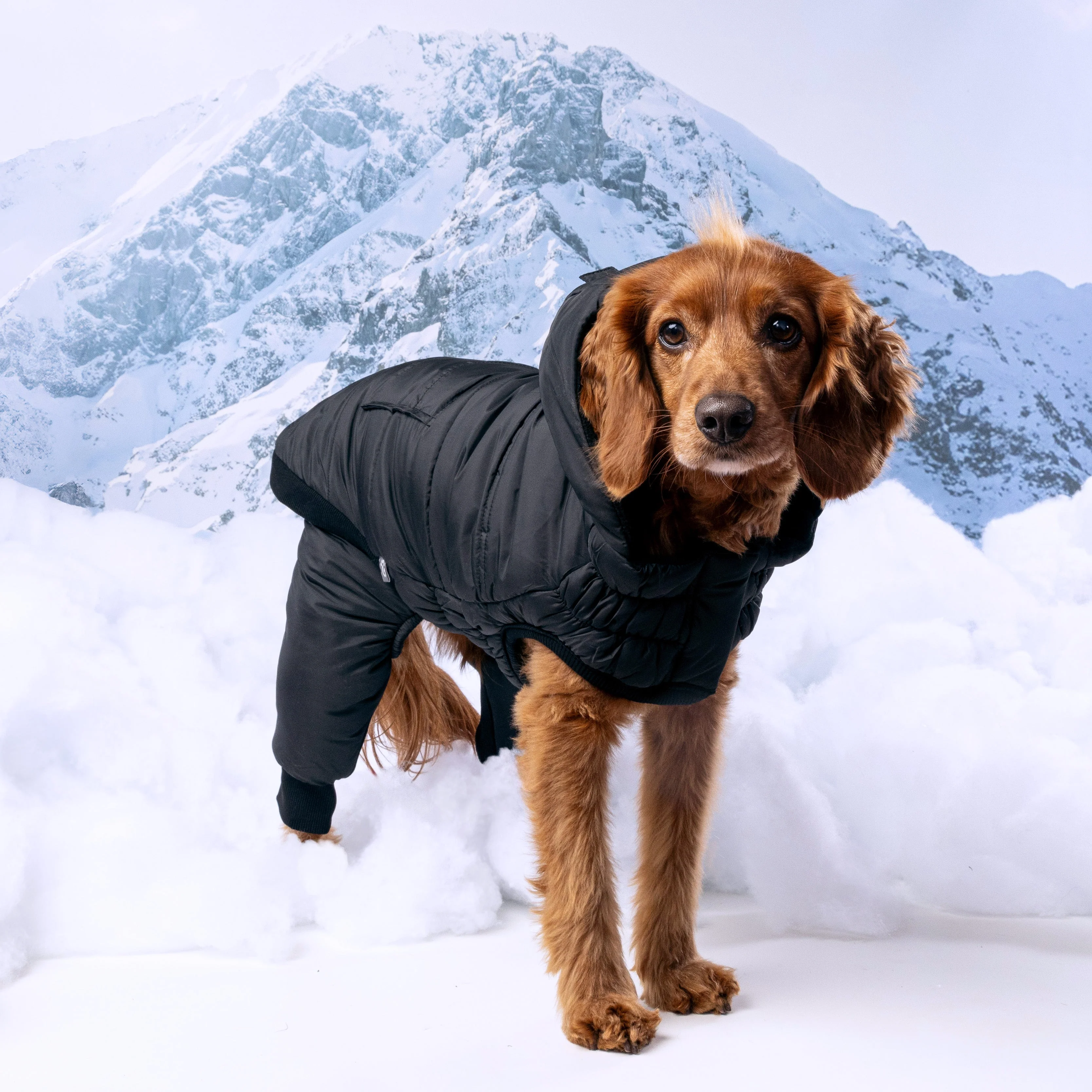 Odyssey Snowsuit - Image 7