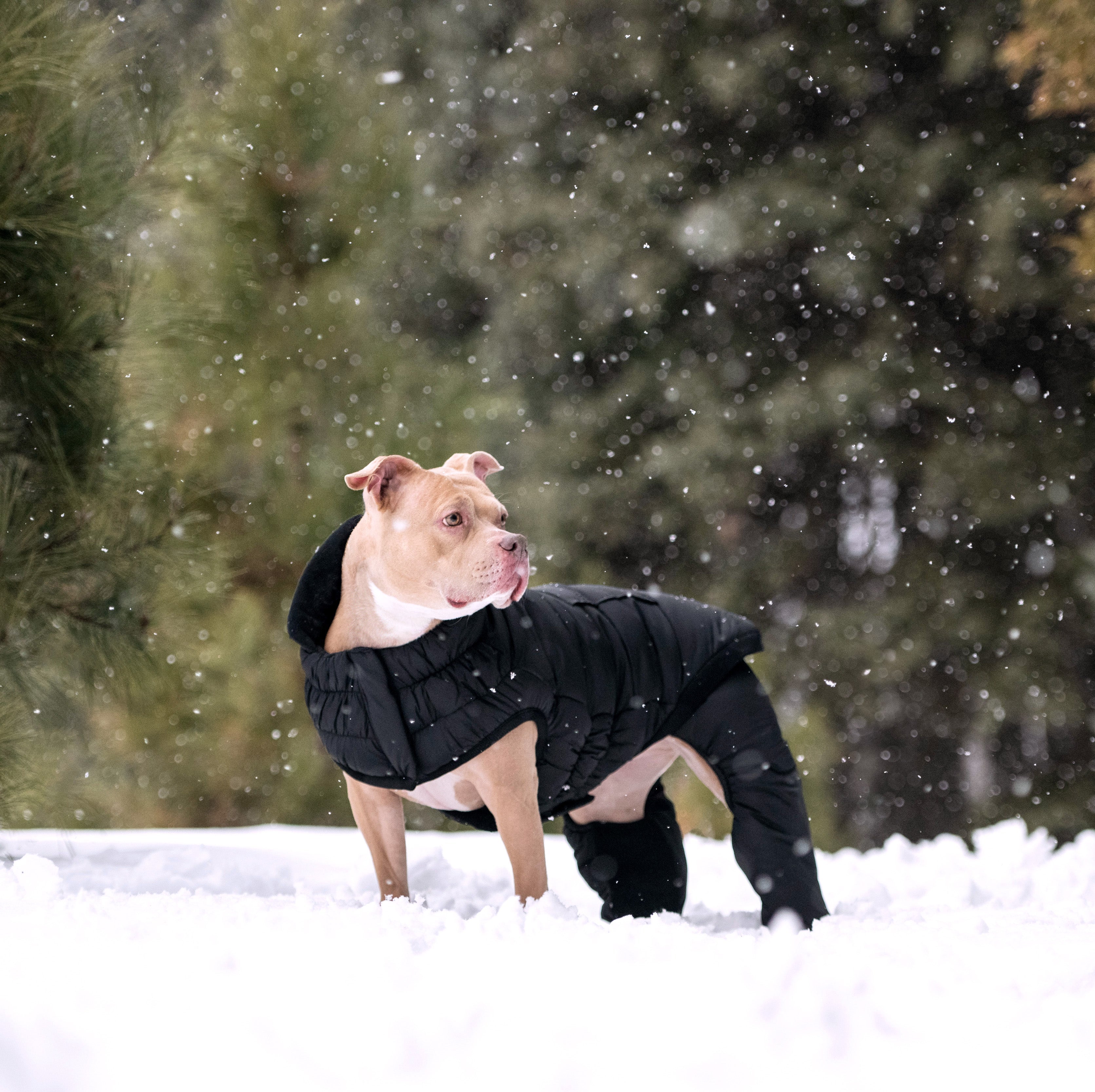 Odyssey Snowsuit - Image 8