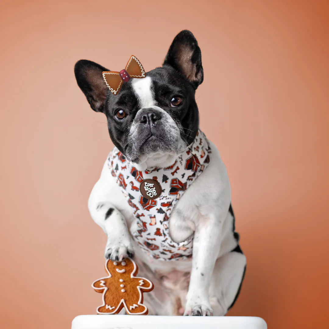 Oh Snap! Adjustable Harness - Image 4