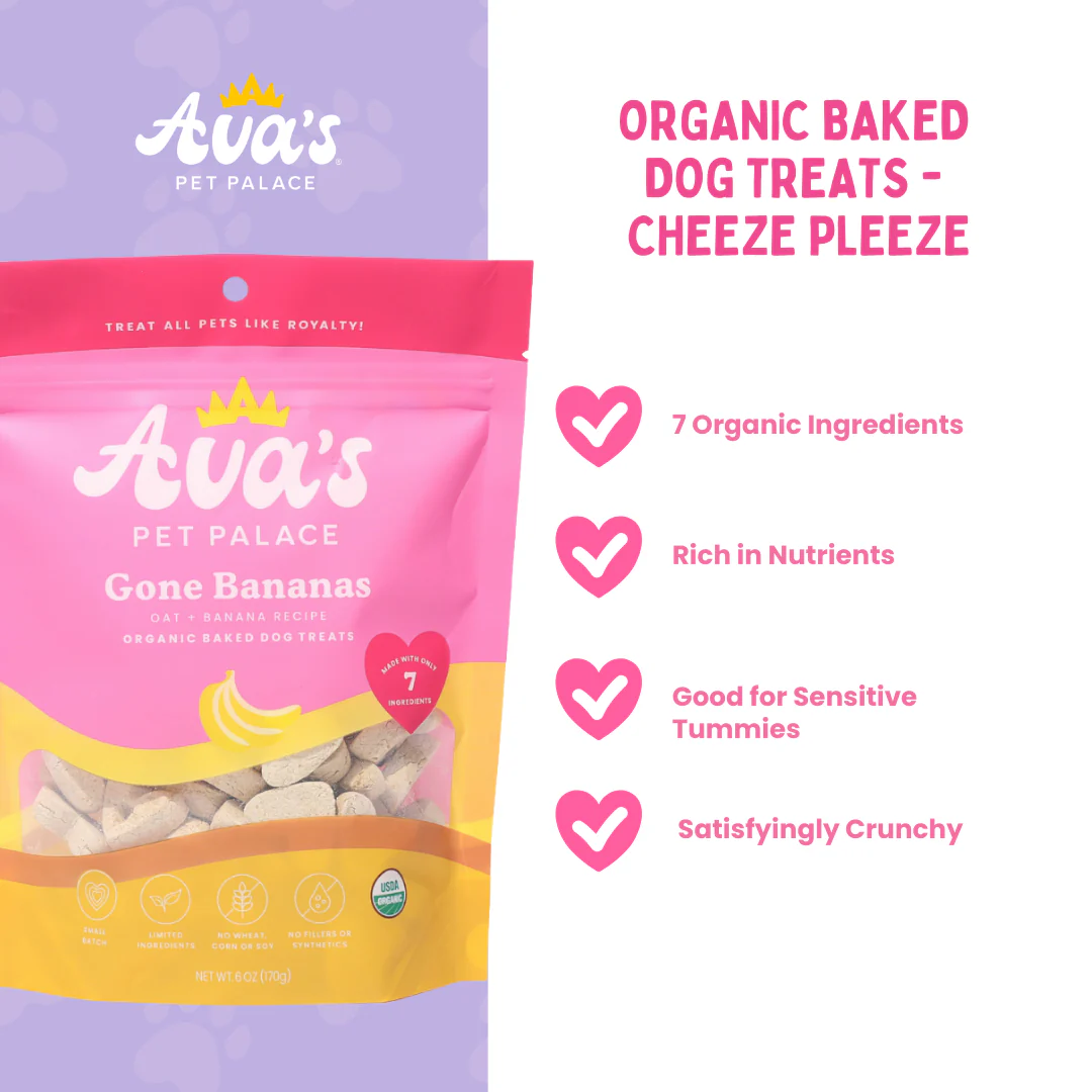 Organic Baked Dog Treats - Gone Bananas - Image 2