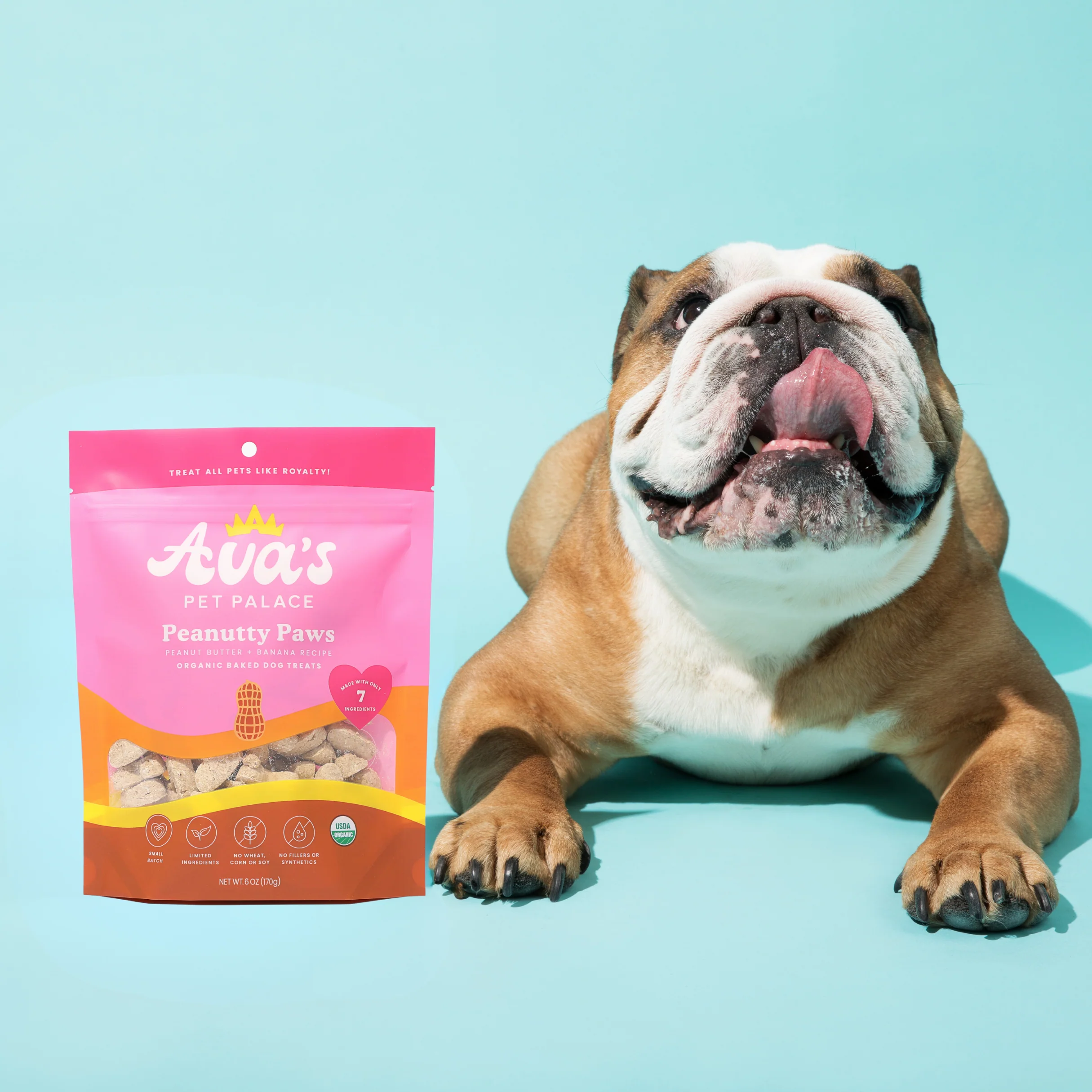 Organic Baked Dog Treats - Peanutty Paws - Image 5