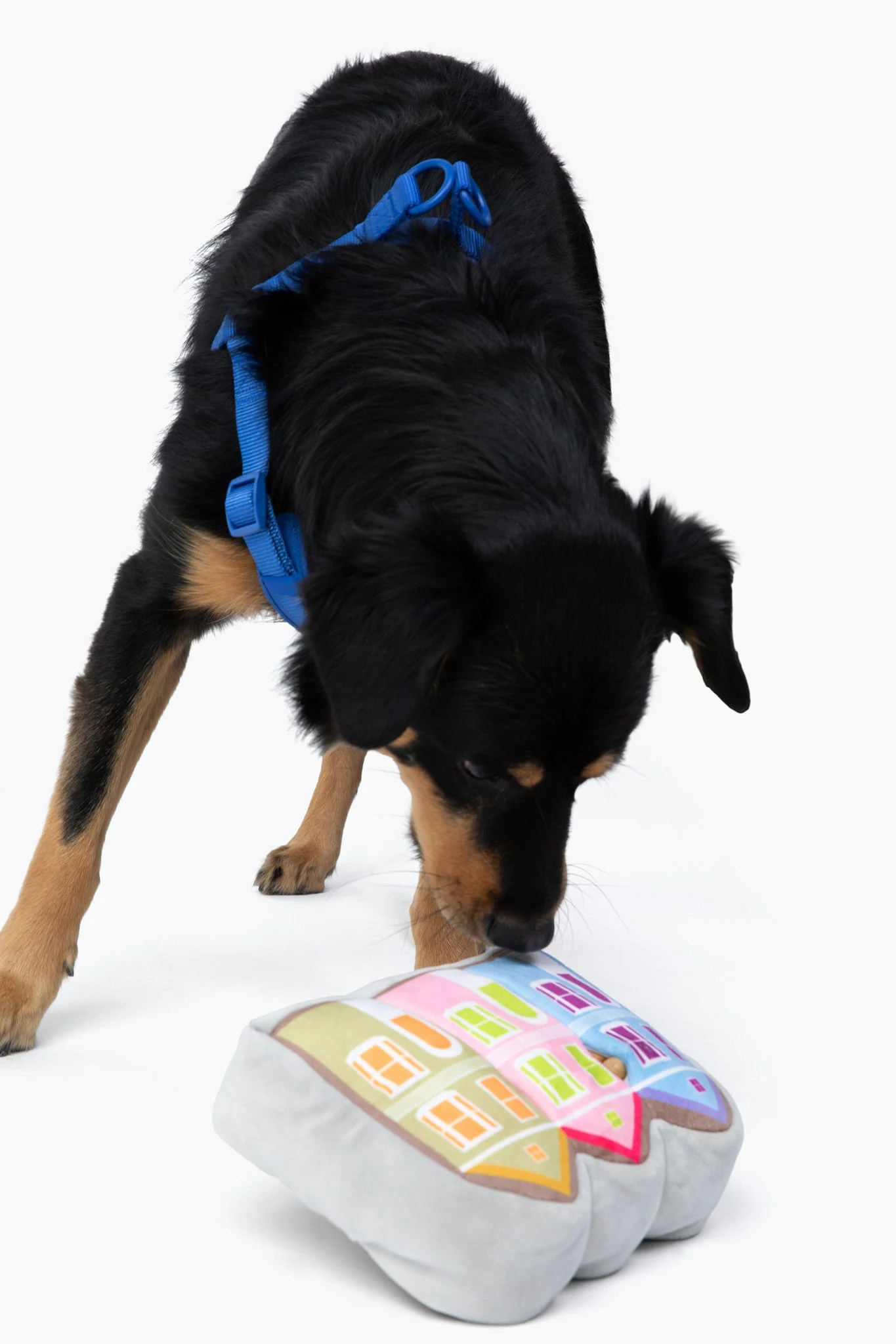 Painted Ladies Nose Work Dog Toy - Image 4