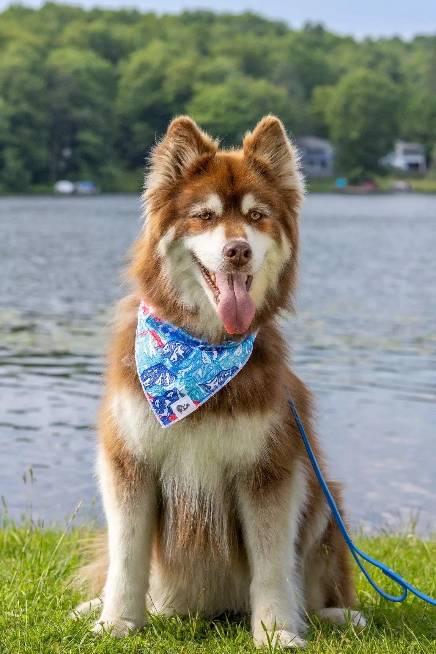 Painted Peaks Dog Bandana - Image 2