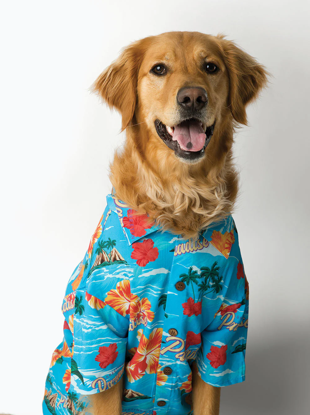 Paradise BBQ Shirt - Image 3