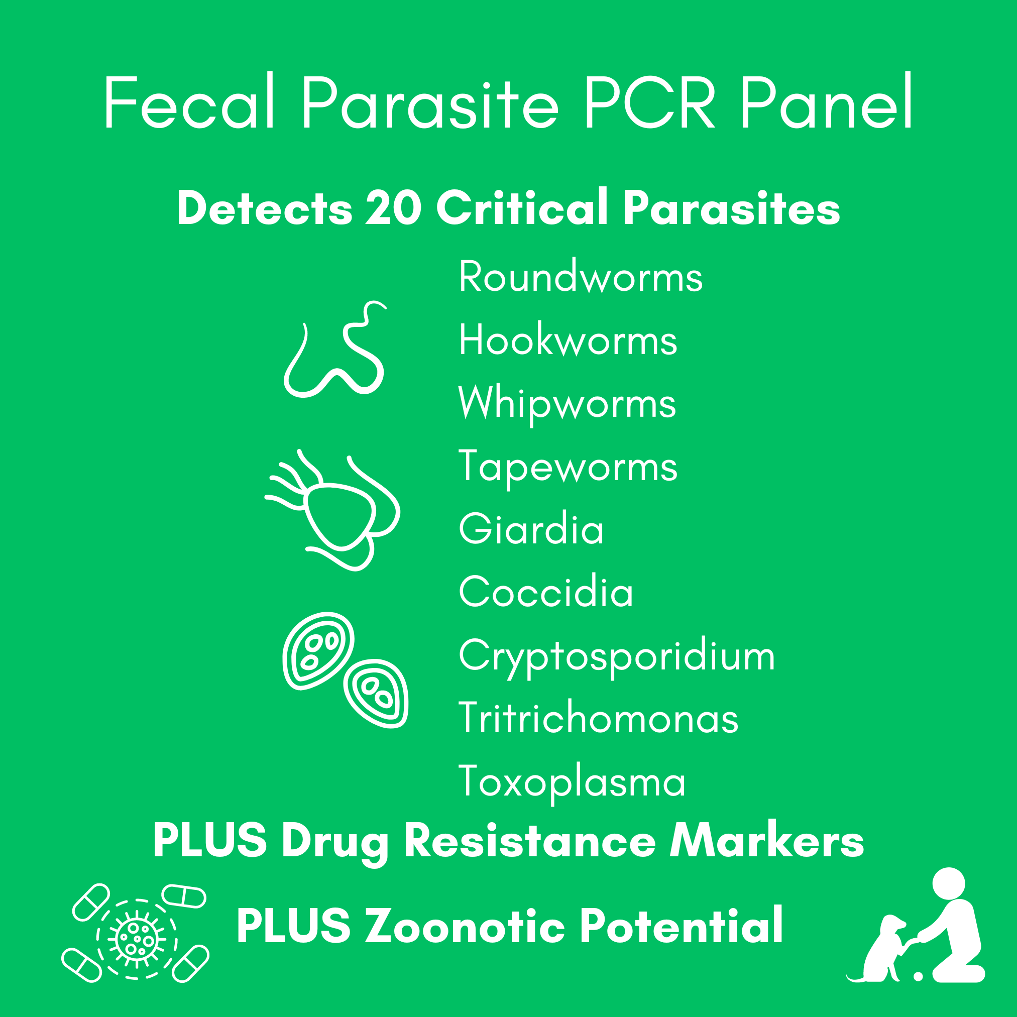 Parasite Detect for Dogs & Cats Mail-In Lab Test (PCR Test - Comprehensive): At-Home Testing - Image 3