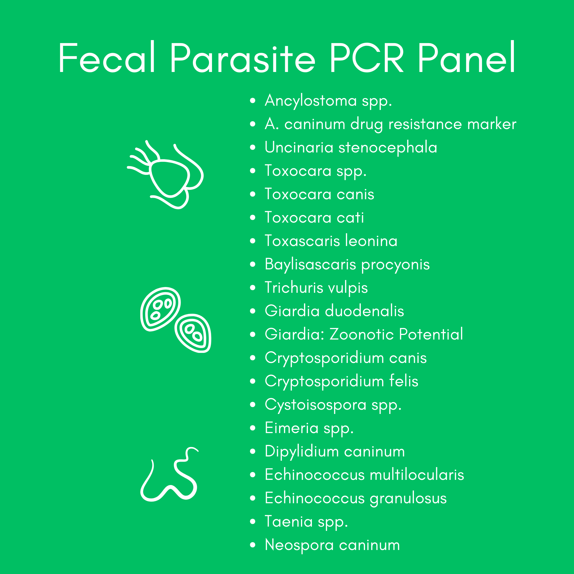 Parasite Detect for Dogs & Cats Mail-In Lab Test (PCR Test - Comprehensive): At-Home Testing - Image 4