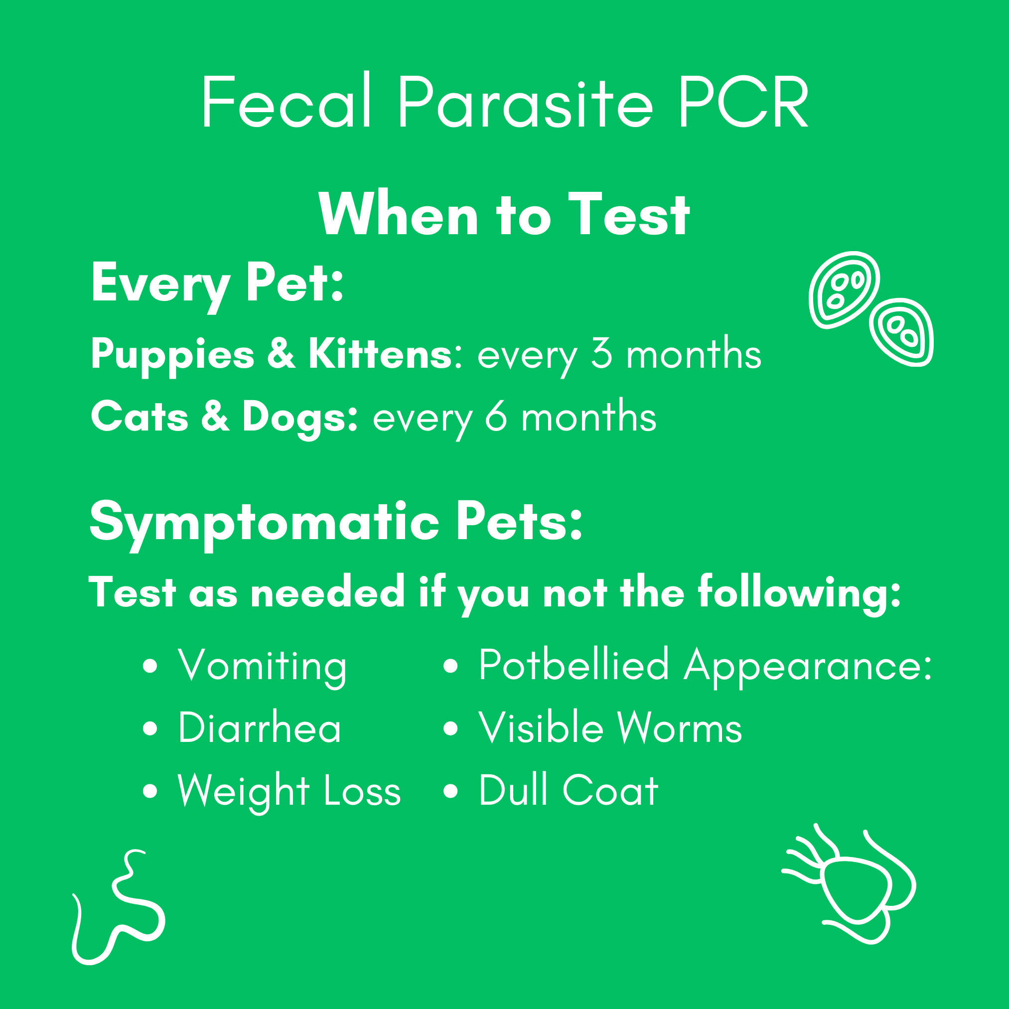 Parasite Detect for Dogs & Cats Mail-In Lab Test (PCR Test - Comprehensive): At-Home Testing - Image 5