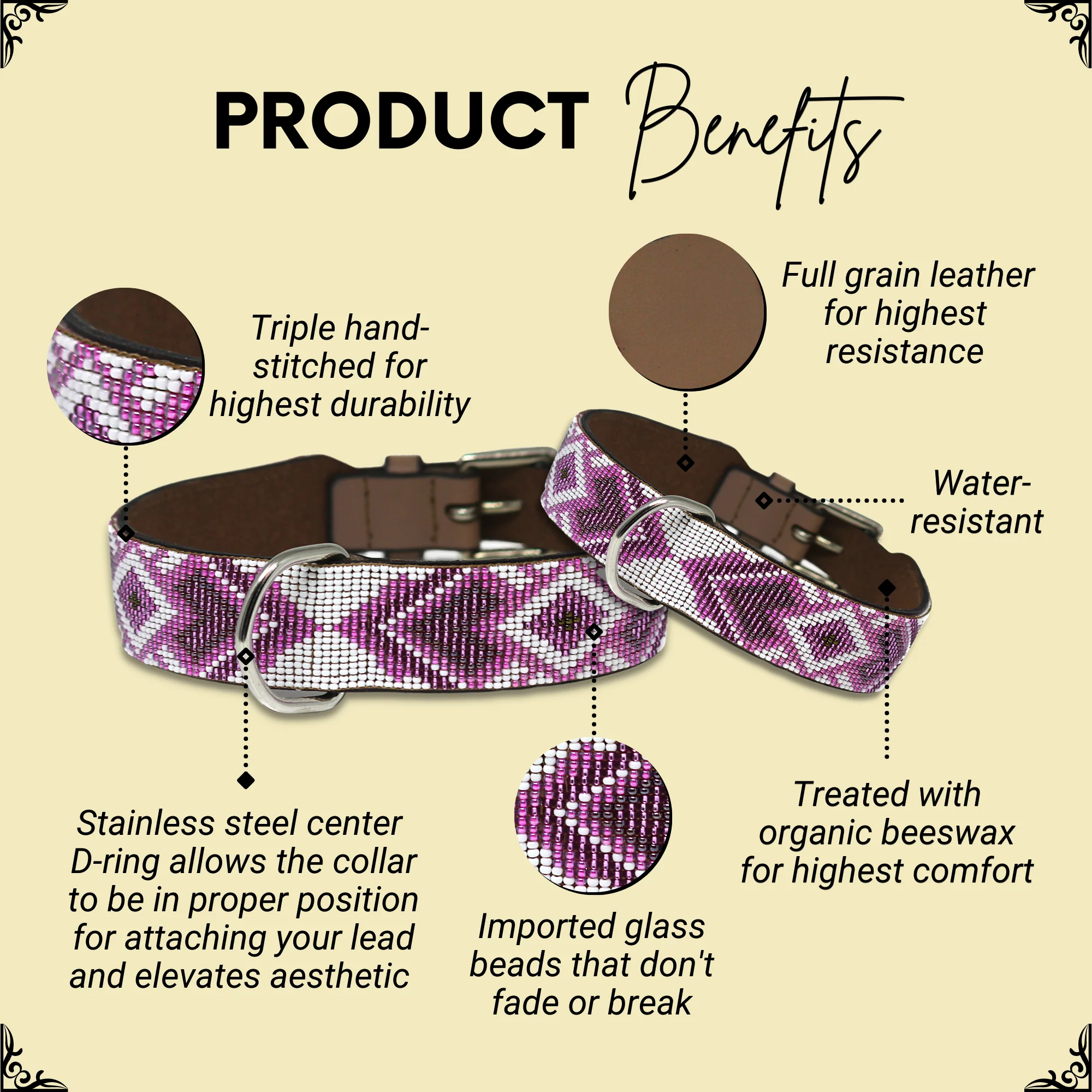 Paris Sambboho dog collar (with center D-ring) - Image 2