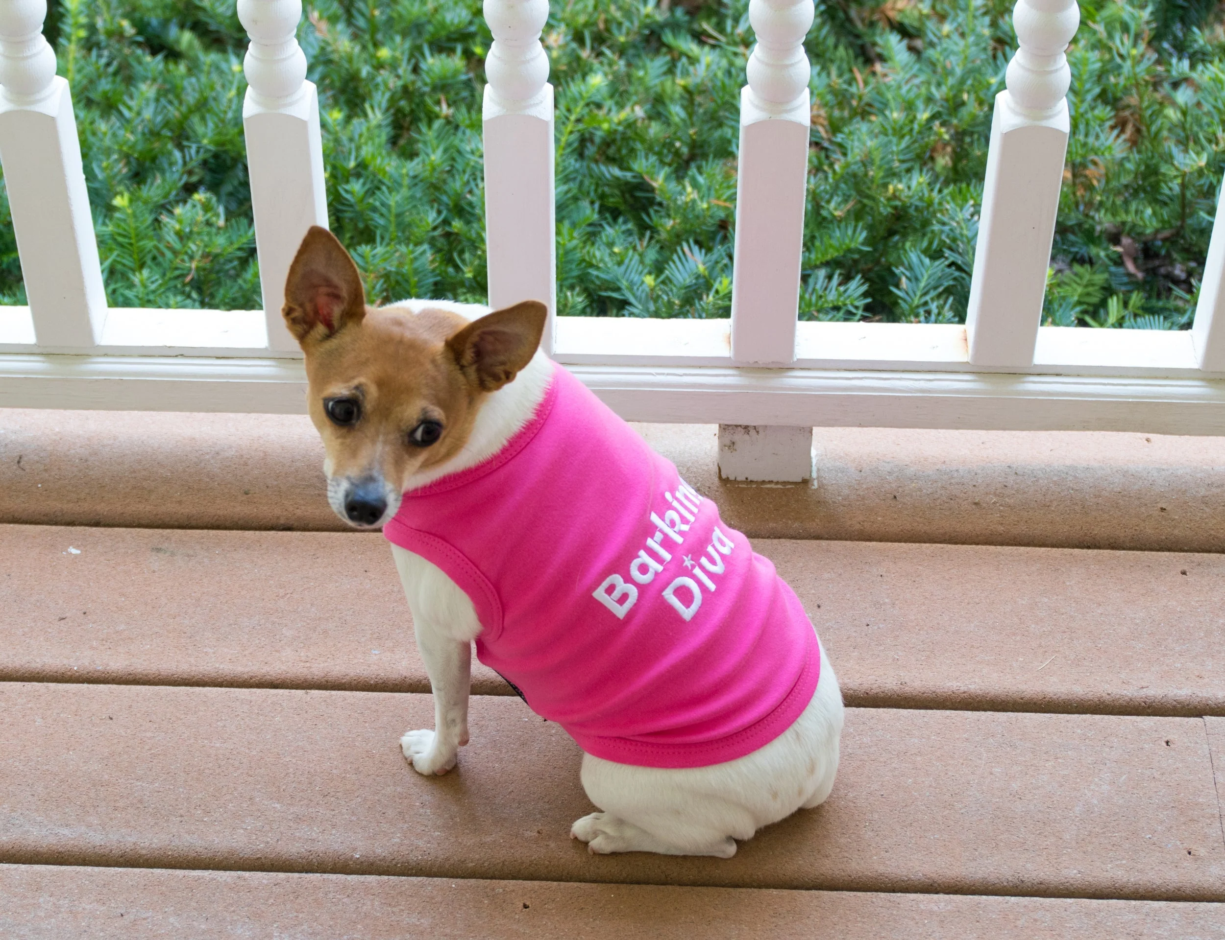 Parisian Pet 'Barking Diva' Dog Shirt – Cute Slogan Pet T-Shirt for Dogs & Cats, Pink - Image 4