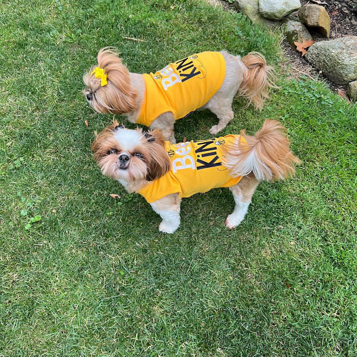 Parisian Pet 'Bee Kind' Embroidered Dog Shirt - Trendy Pet Apparel, Yellow - Image 4