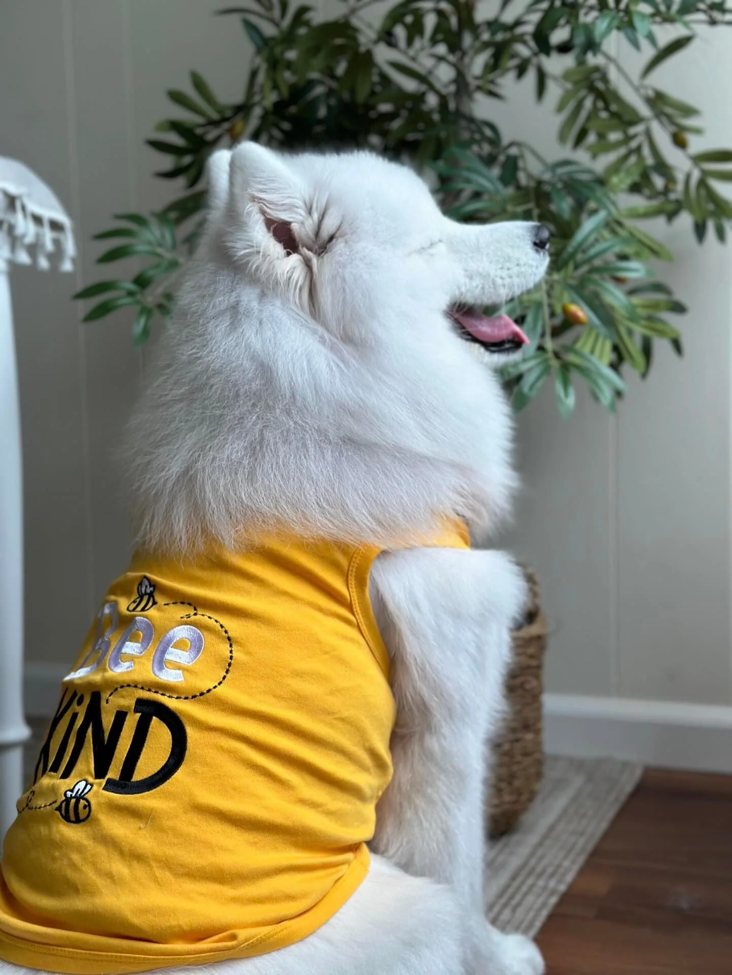 Parisian Pet 'Bee Kind' Embroidered Dog Shirt - Trendy Pet Apparel, Yellow - Image 5