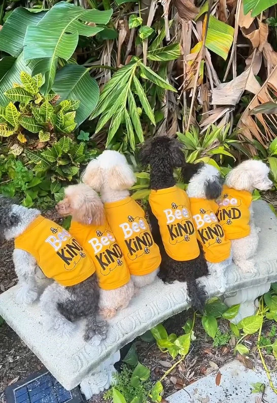 Parisian Pet 'Bee Kind' Embroidered Dog Shirt - Trendy Pet Apparel, Yellow - Image 6