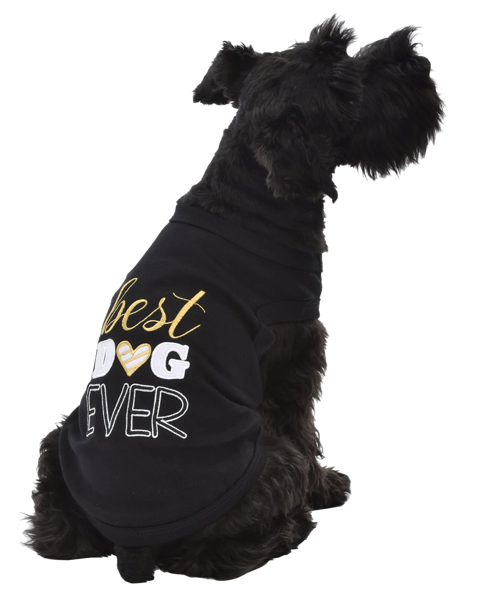 Parisian Pet 'Best Dog Ever' Cute Slogan Dog T-Shirt – Premium Cotton Pet Wear for Small Dogs & Cats, Black-Valentine's Day - Image 3