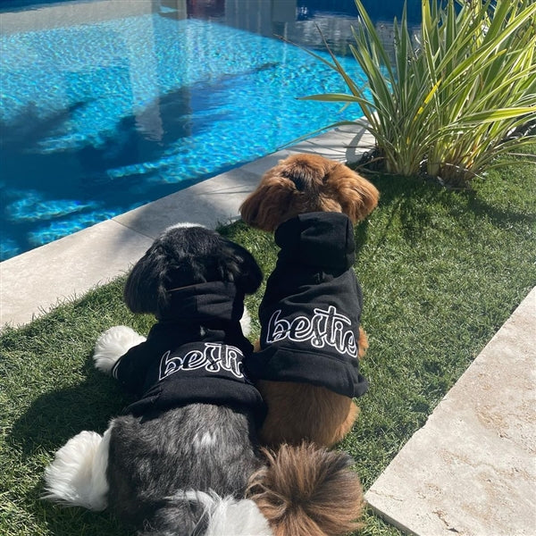 Parisian Pet 'Bestie Hoodie' in Black - Trendy Pet Hoodie for Dogs & Cats, Perfect for Fall & Winter-Valentine's Day - Image 3