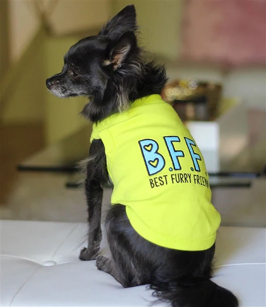 Parisian Pet 'BFF' Comfortable Embroidered Dog Shirt – Trendy Small Dog Casual Shirt for Dogs & Cats-Valentine's Day - Image 3