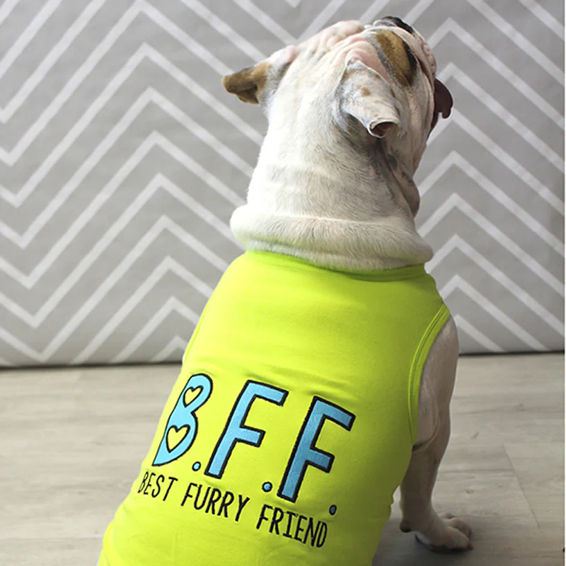 Parisian Pet 'BFF' Comfortable Embroidered Dog Shirt – Trendy Small Dog Casual Shirt for Dogs & Cats-Valentine's Day - Image 4