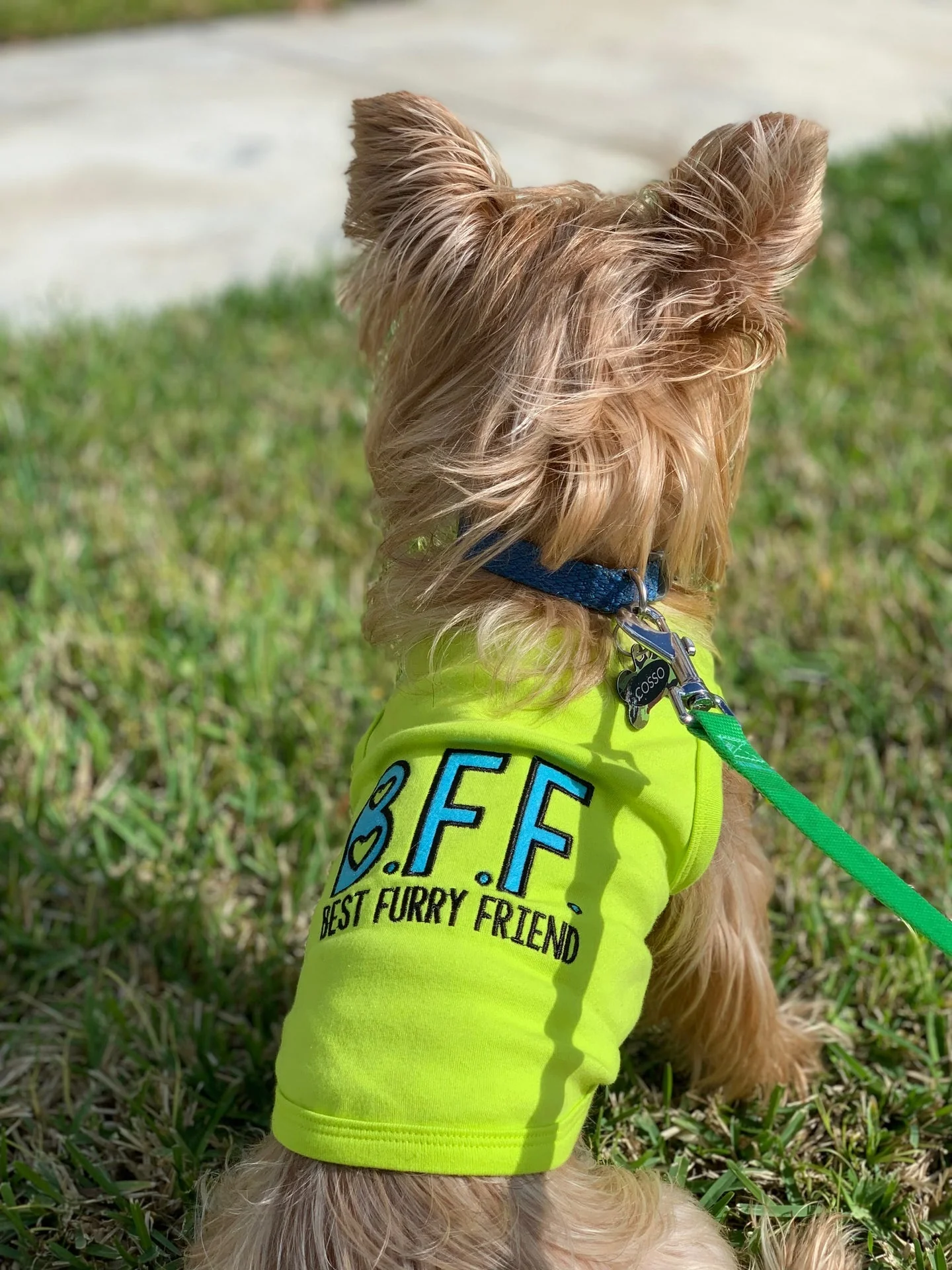 Parisian Pet 'BFF' Comfortable Embroidered Dog Shirt – Trendy Small Dog Casual Shirt for Dogs & Cats-Valentine's Day - Image 5