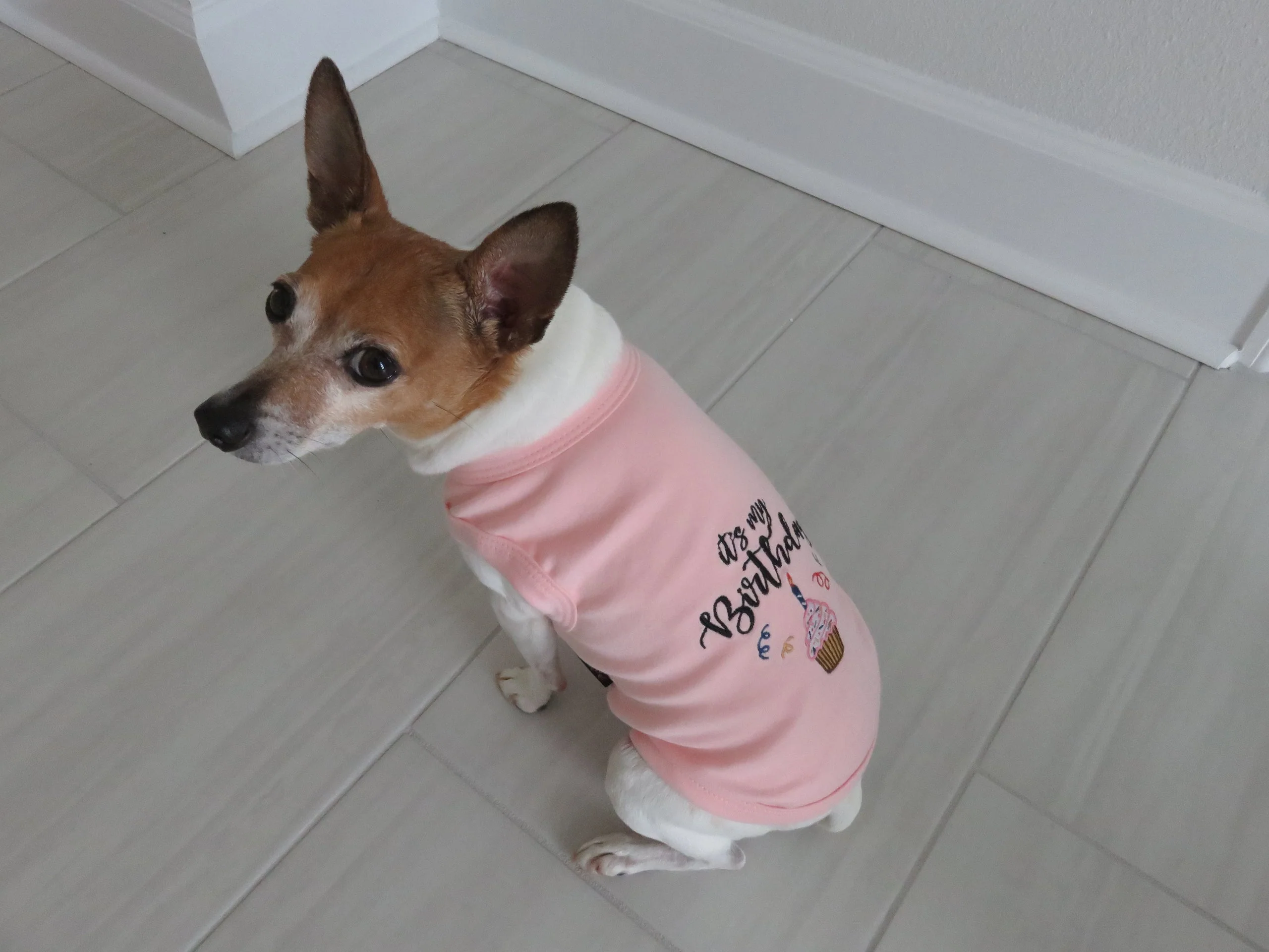 Parisian Pet 'Birthday Girl' Dog Shirt – Trendy and Breathable Party Outfit for Small Dogs & Cats, Pink - Image 4