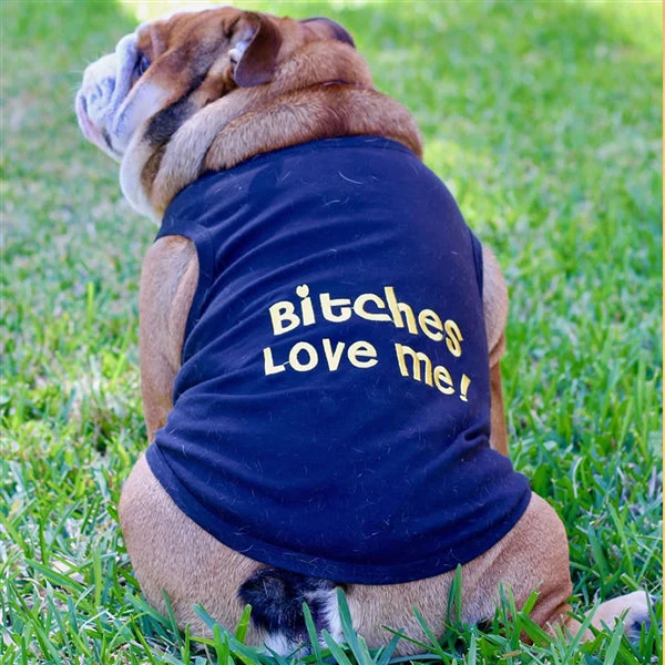 Parisian Pet 'Bitches Love Me' Funny Dog Shirt – Embroidered Cotton Pet T-Shirt for Dogs & Cats, Black-Valentine's Day - Image 3