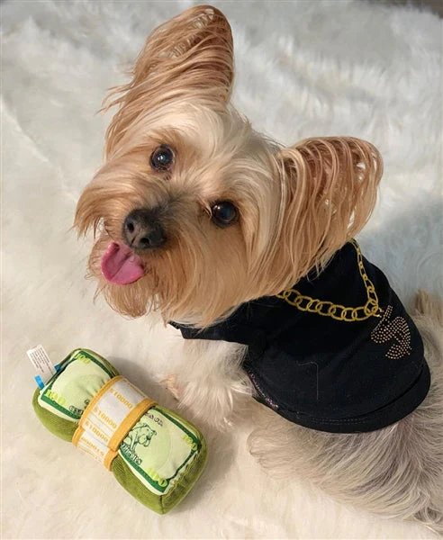 Parisian Pet 'Bling $' Dog Shirt – Sparkly Embroidered Pet T-Shirt for Dogs & Cats, Black - Image 3