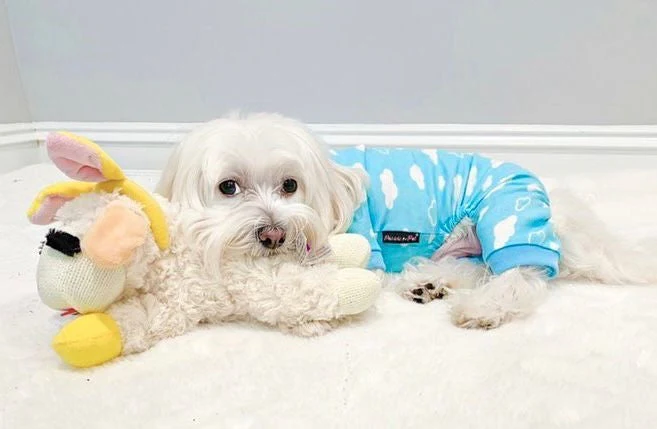 Parisian Pet 'Blue Cloud' Pajama for Dogs & Cats, Comfortable Pet Pajama Set, Cozy Dog Pajamas, Blue - Image 3