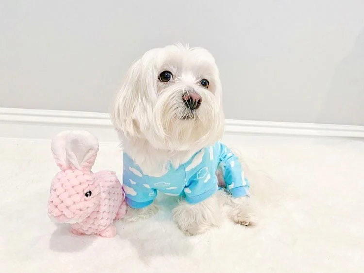 Parisian Pet 'Blue Cloud' Pajama for Dogs & Cats, Comfortable Pet Pajama Set, Cozy Dog Pajamas, Blue - Image 5