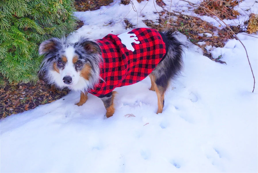 Parisian Pet 'Buffalo Checkered Sweater - Polar Bear' for Dogs and Cats - Cozy Winter Wear with Adorable Polar Bear Design Red and Black - Image 3