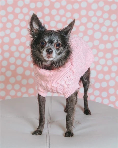 Parisian Pet 'Cable Knit Sweater' - Warm & Stylish Pet Sweater in Blush Pink for Dogs & Cats-Valentine's Day-Valentine's Day - Image 4